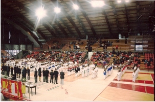 Panoramica di atleti e pubblico all'International Cup of Karate